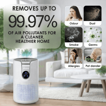 HealtheNest™ Deluxe HEPA Filter