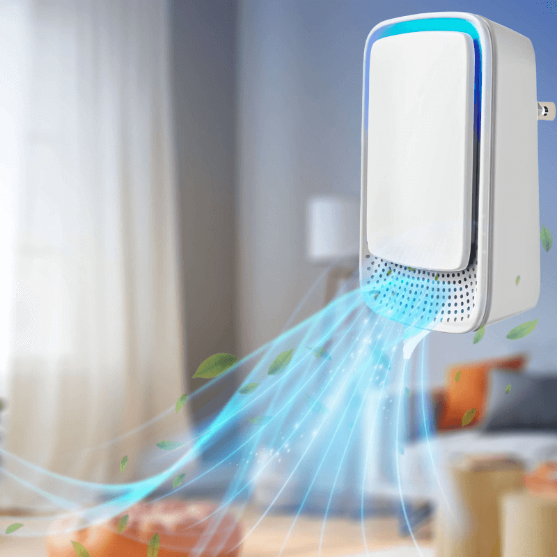 HealtheNest™ Everyday Bundle